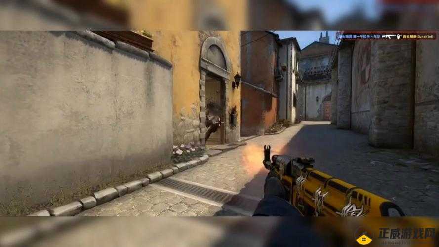 csgo 暴躁姐姐的精彩瞬间之击杀集锦