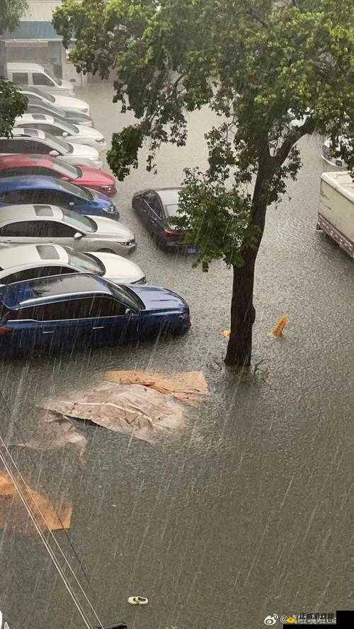 暴雨天被困公司女职员的困境