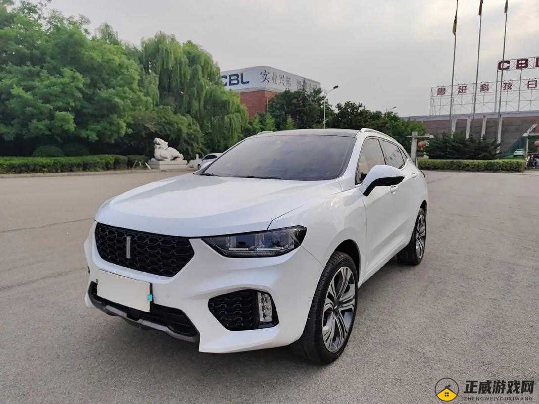 weyvv5 国产的 suv 免费：高品质之选，不容错过